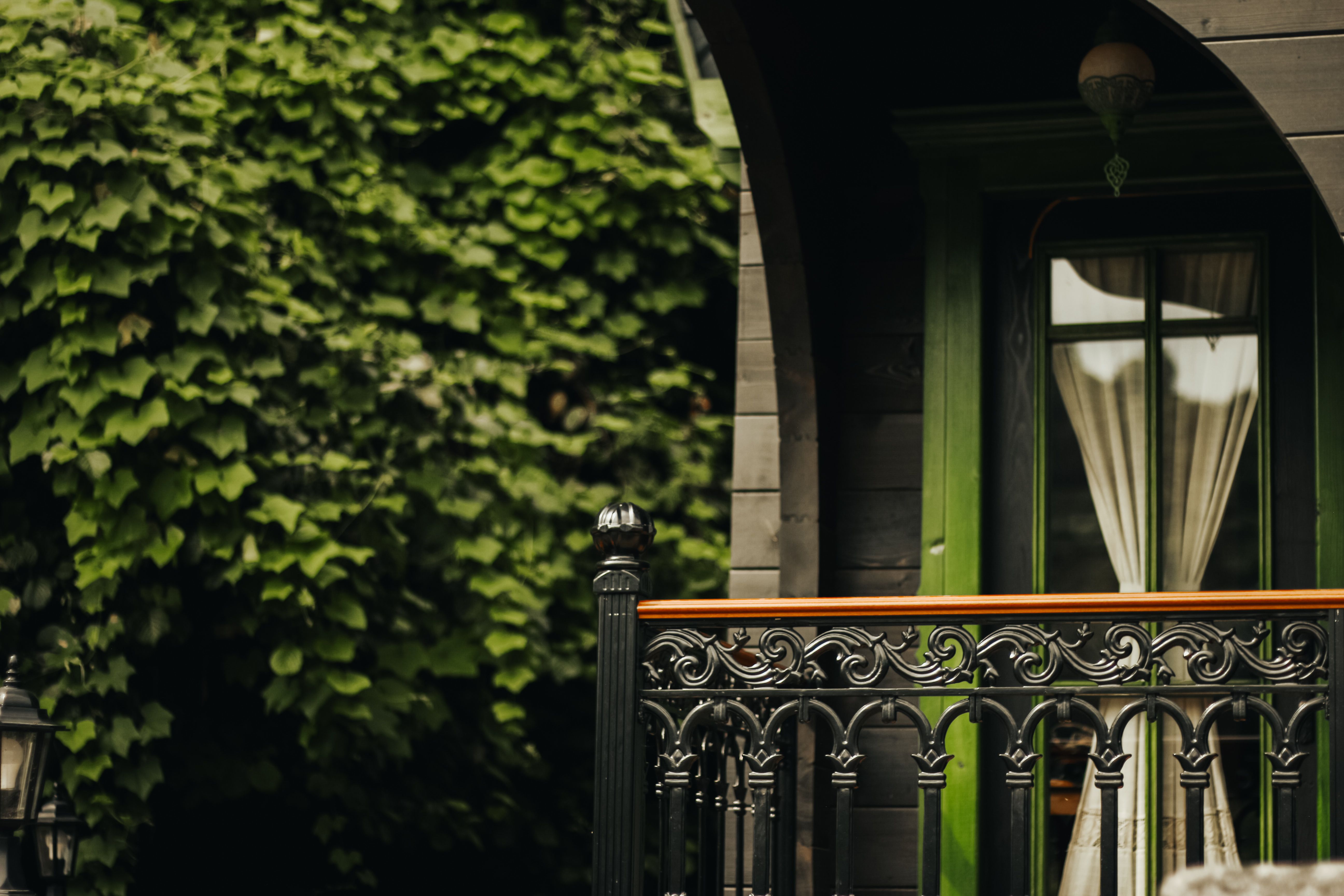Rustic balcony with an ornate iron railing and lush greenery behind it
